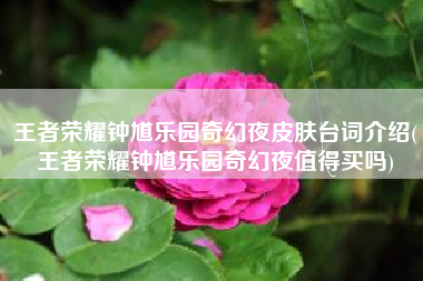 王者荣耀钟馗乐园奇幻夜皮肤台词介绍(王者荣耀钟馗乐园奇幻夜值得买吗)