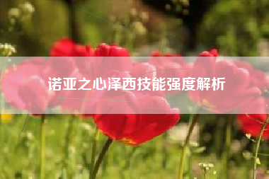 诺亚之心泽西技能强度解析