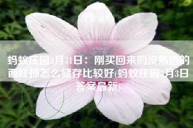 蚂蚁庄园3月31日：刚买回来的没熟透的西红柿怎么储存比较好(蚂蚁庄园3月3日答案最新)