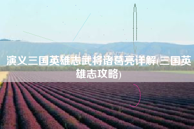 演义三国英雄志武将诸葛亮详解(三国英雄志攻略)