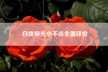 白夜极光小不点全面评价