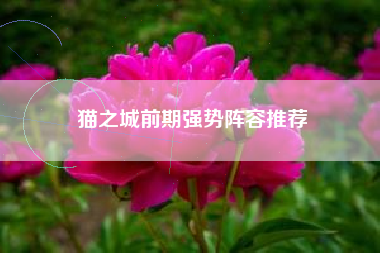 猫之城前期强势阵容推荐