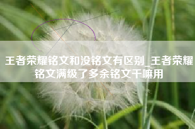 王者荣耀铭文和没铭文有区别_王者荣耀铭文满级了多余铭文干嘛用