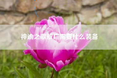 神谕之歌敖广需要什么装备