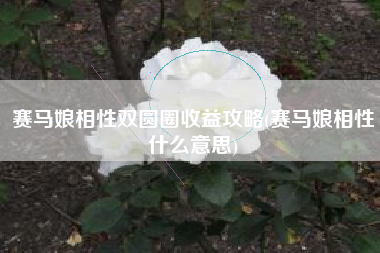 赛马娘相性双圆圈收益攻略(赛马娘相性什么意思)