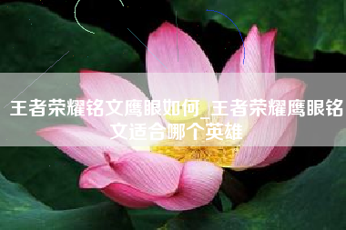 王者荣耀铭文鹰眼如何_王者荣耀鹰眼铭文适合哪个英雄