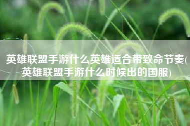 英雄联盟手游什么英雄适合带致命节奏(英雄联盟手游什么时候出的国服)