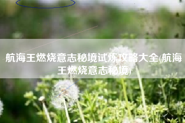 航海王燃烧意志秘境试炼攻略大全(航海王燃烧意志秘境)