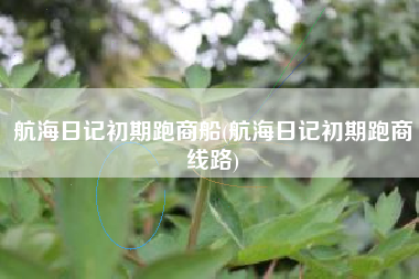 航海日记初期跑商船(航海日记初期跑商线路)