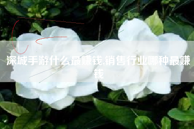 深城手游什么最赚钱,销售行业哪种最赚钱