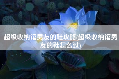 超级收纳馆男友的鞋攻略(超级收纳馆男友的鞋怎么过)