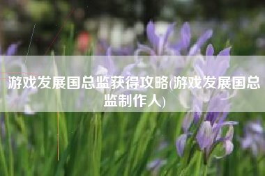 游戏发展国总监获得攻略(游戏发展国总监制作人)