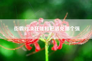 街霸对决狂隆和巴洛克哪个强
