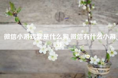 微信小游戏我是什么狗,微信有什么小游戏