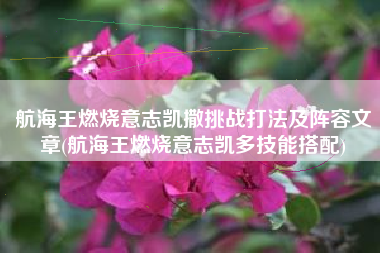 航海王燃烧意志凯撒挑战打法及阵容文章(航海王燃烧意志凯多技能搭配)