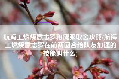 航海王燃烧意志罗和鹰眼取舍攻略(航海王燃烧意志罗在前两回合给队友加速的技能叫什么)