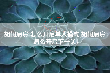 胡闹厨房2怎么开启单人模式(胡闹厨房2怎么开启下一关)