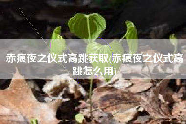 赤痕夜之仪式高跳获取(赤痕夜之仪式高跳怎么用)