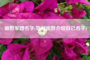 幽默军团名字(如何幽默介绍自己名字)
