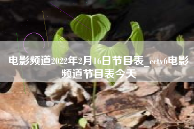 电影频道2022年2月16日节目表_cctv6电影频道节目表今天