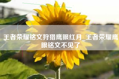 王者荣耀铭文狩猎鹰眼红月_王者荣耀鹰眼铭文不见了