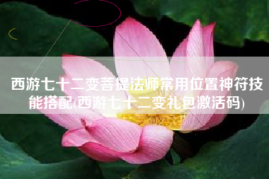 西游七十二变菩提法师常用位置神符技能搭配(西游七十二变礼包激活码)