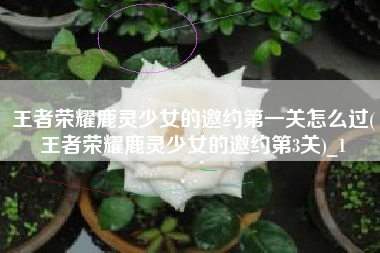 王者荣耀鹿灵少女的邀约第一关怎么过(王者荣耀鹿灵少女的邀约第3关)_1