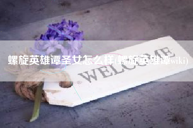 螺旋英雄谭圣女怎么样(螺旋英雄谭wiki)