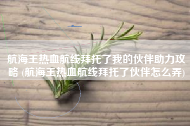 航海王热血航线拜托了我的伙伴助力攻略 (航海王热血航线拜托了伙伴怎么弄)