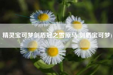 精灵宝可梦剑盾冠之雪原马(剑盾宝可梦)