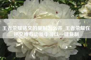 王者荣耀铭文的复制怎么弄_王者荣耀在铭文推荐功能中可以一键复制