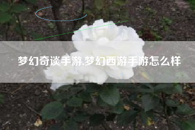 梦幻奇谈手游,梦幻西游手游怎么样