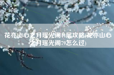 花亦山心之月瑶光阁44层攻略(花亦山心之月瑶光阁79怎么过)