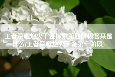 王者荣耀炮火千金探索第四阶段答案是什么(王者荣耀炮火千金第一阶段)