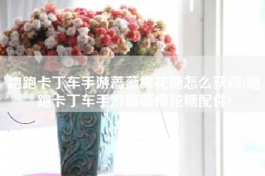 跑跑卡丁车手游蔷薇棉花糖怎么获得(跑跑卡丁车手游蔷薇棉花糖配件)