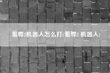 羞辱2机器人怎么打(羞辱2 机器人)