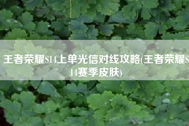 王者荣耀S14上单光信对线攻略(王者荣耀S14赛季皮肤)