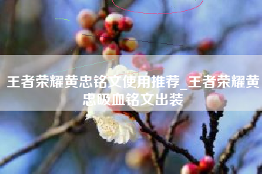 王者荣耀黄忠铭文使用推荐_王者荣耀黄忠吸血铭文出装