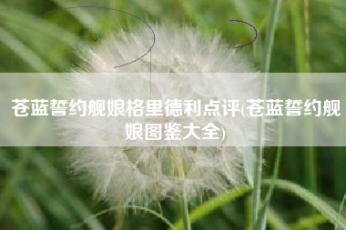 苍蓝誓约舰娘格里德利点评(苍蓝誓约舰娘图鉴大全)