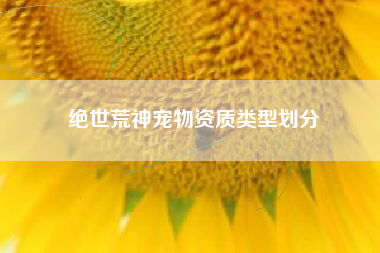 绝世荒神宠物资质类型划分