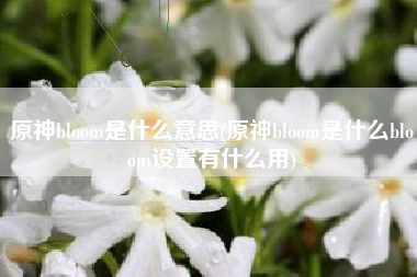 原神bloom是什么意思(原神bloom是什么bloom设置有什么用)