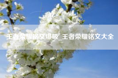 王者荣耀铭文爆吸_王者荣耀铭文大全