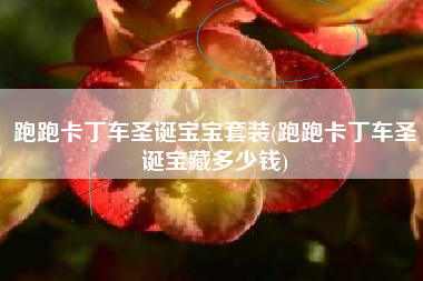 跑跑卡丁车圣诞宝宝套装(跑跑卡丁车圣诞宝藏多少钱)