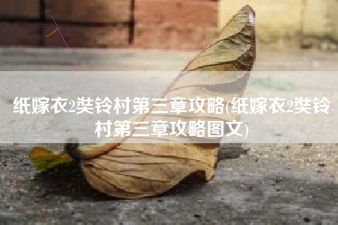 纸嫁衣2奘铃村第三章攻略(纸嫁衣2奘铃村第三章攻略图文)