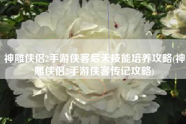 神雕侠侣2手游侠客后天技能培养攻略(神雕侠侣2手游侠客传记攻略)