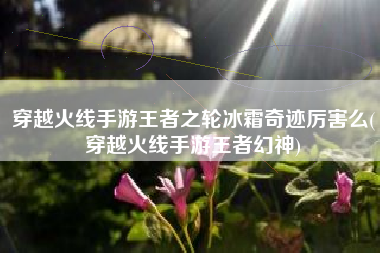 穿越火线手游王者之轮冰霜奇迹厉害么(穿越火线手游王者幻神)
