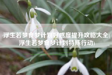 浮生若梦食梦计划好感度提升攻略大全(浮生若梦食梦计划特殊行动)