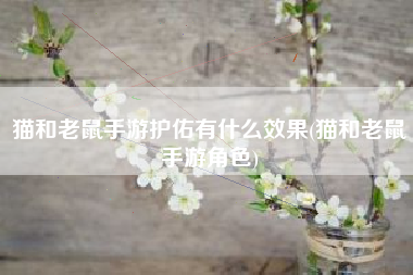 猫和老鼠手游护佑有什么效果(猫和老鼠手游角色)