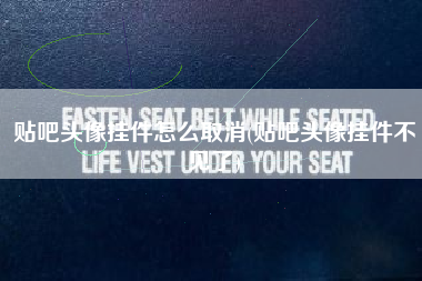 贴吧头像挂件怎么取消(贴吧头像挂件不见了)