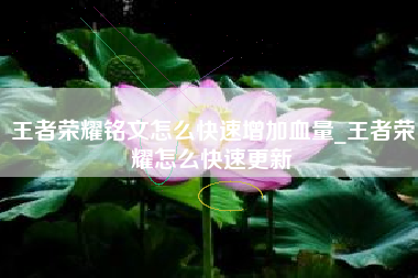 王者荣耀铭文怎么快速增加血量_王者荣耀怎么快速更新